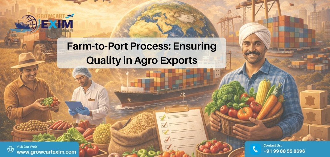 Farm-to-Port Process_ Ensuring Quality in Agro Exports - Growcart Exim