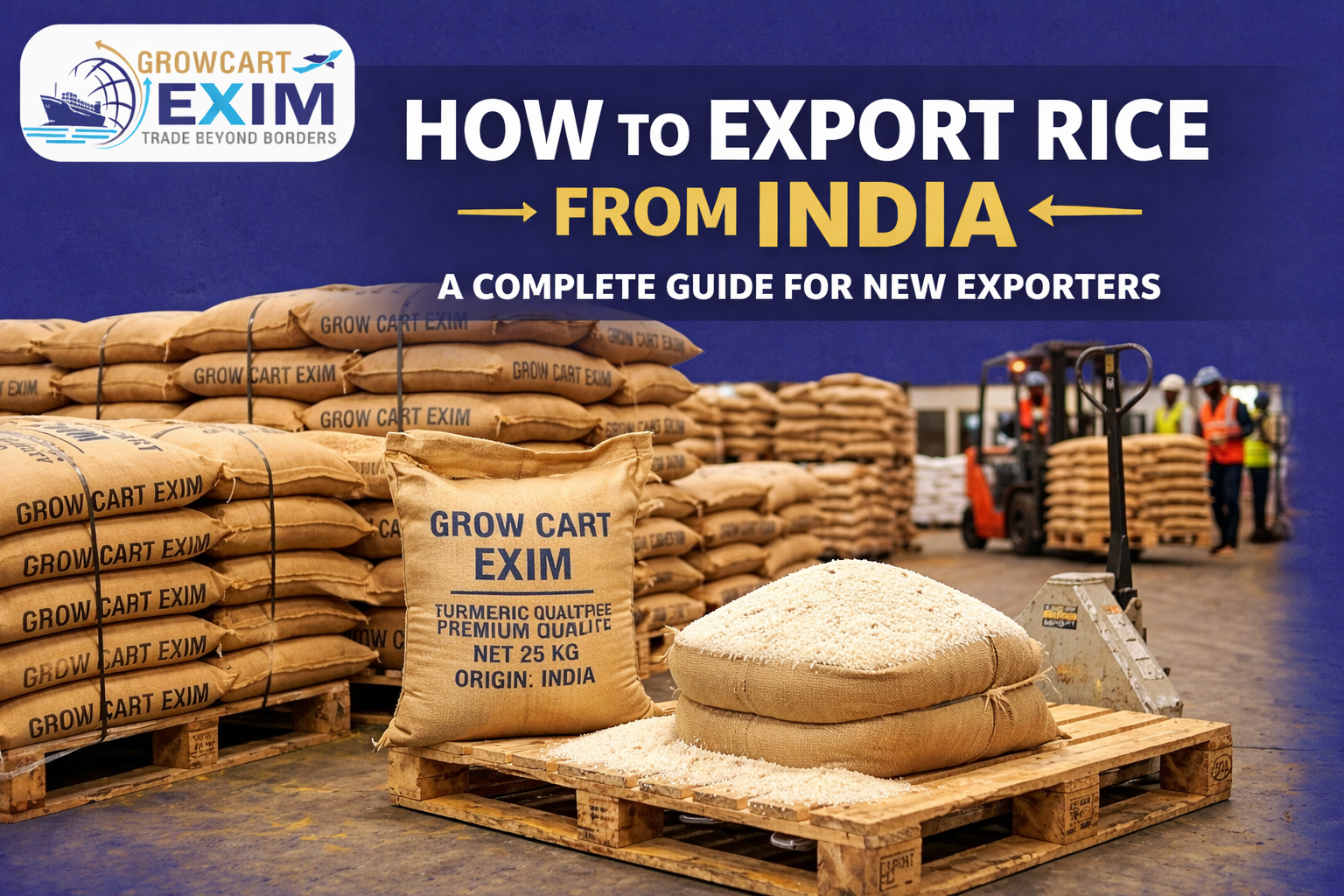 How to Export Rice from India: A Complete Guide for New Exporters