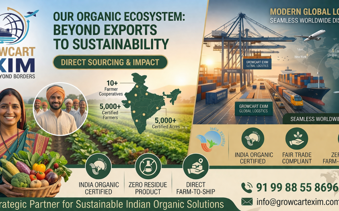 Top 10 Superfoods in India with High Export Potential in 2026